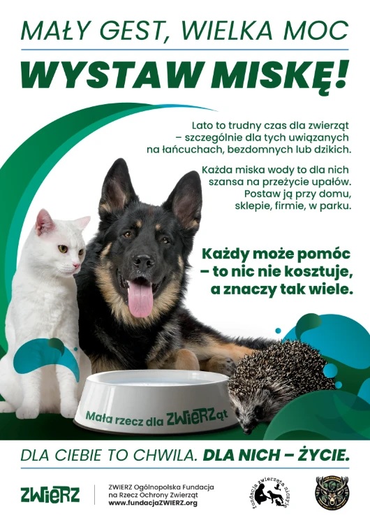  „Mały gest, wielka moc – wystaw miskę!”