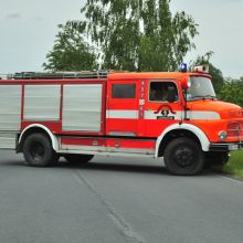 dsc0353 dsc0353