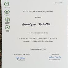 nominacja antoni pachnik nominacja antoni pachnik